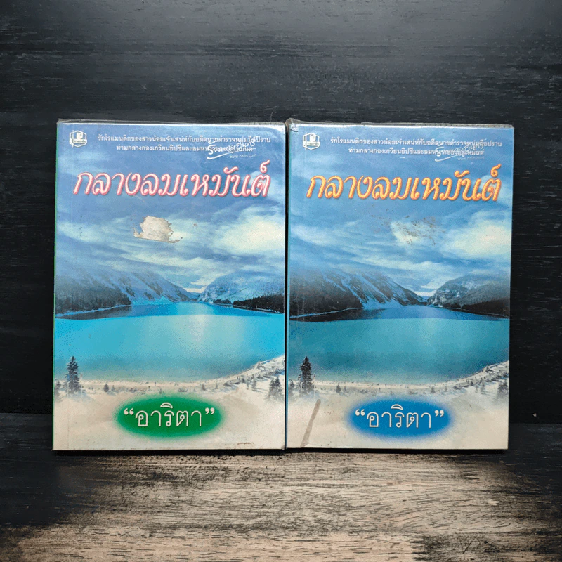 กลางลมเหมันต์ 2 เล่มจบ - อาริตา รูปที่ 1