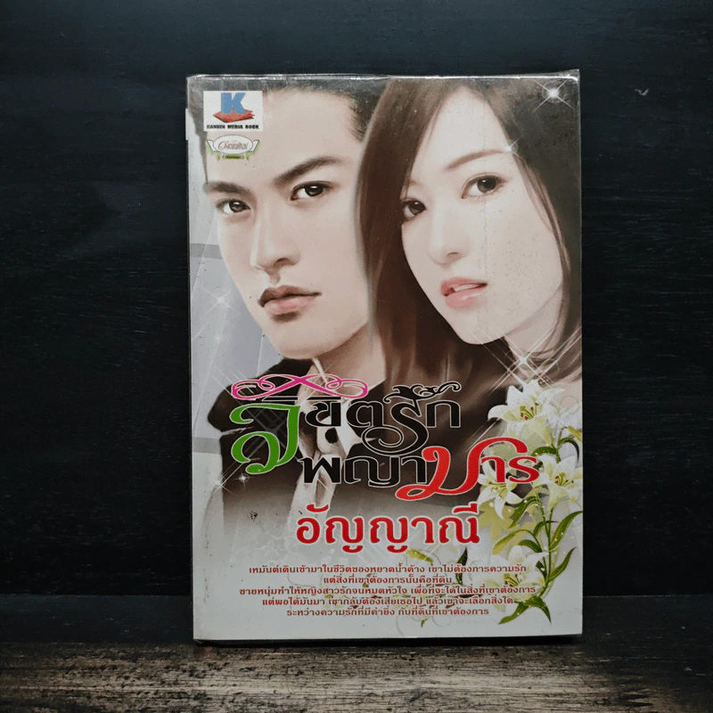ลิขิตรักพญามาร - อัญญาณี รูปที่ 1