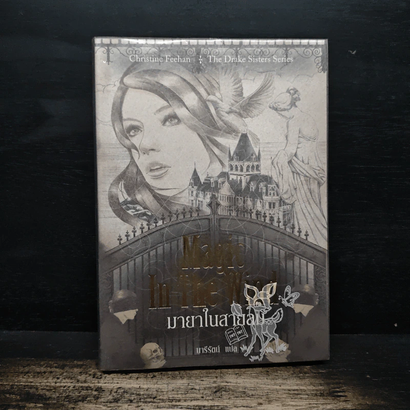 Magic in the Wind มายาในสายลม - คริสติน ฟีแฮน รูปที่ 1