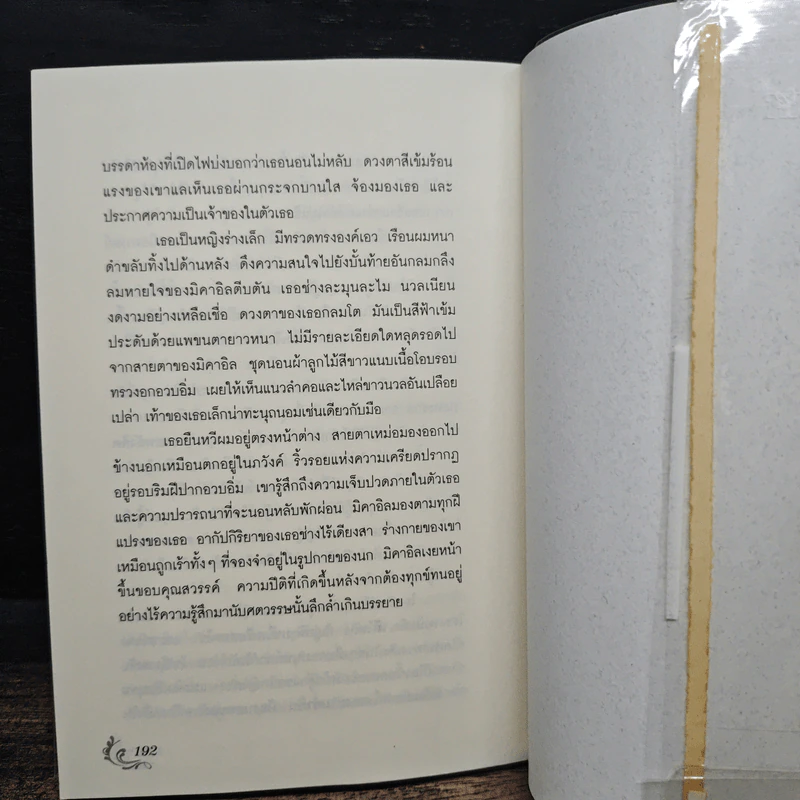 Magic in the Wind มายาในสายลม - คริสติน ฟีแฮน รูปที่ 8