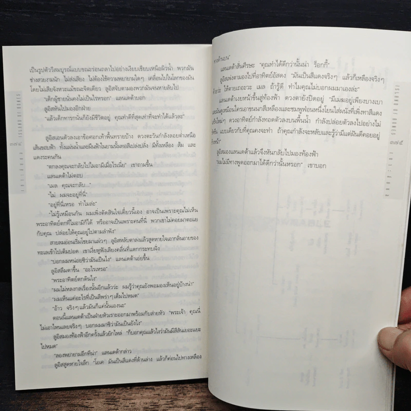 เกาะลับแล Island Bones - พี.เจ.พาร์ริช รูปที่ 8
