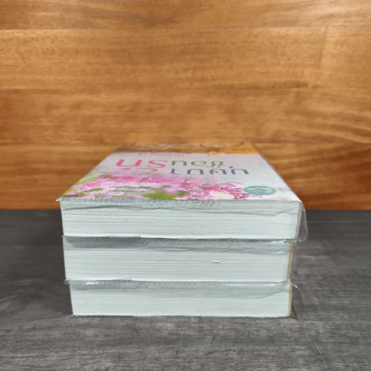 Boxset นวนิยาชุด ทัณฑ์รักบุษบา บุษบาพร่ำรัก + บุษบาซ่อนรัก + บุษบาลวงรัก - ทักษาวารี รูปที่ 7