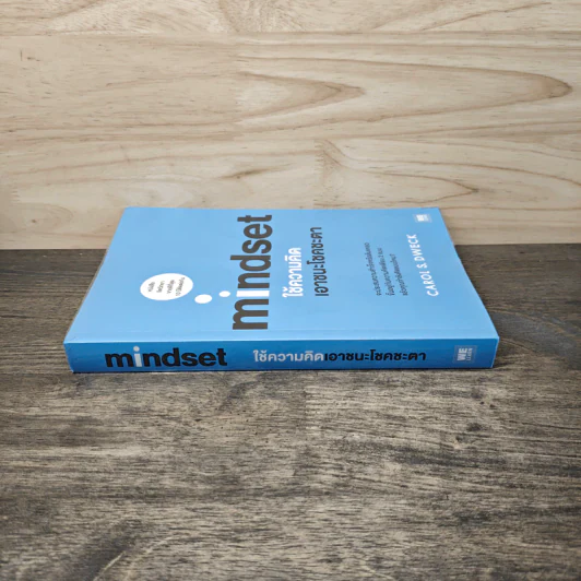 Mindset ใช้ความคิดเอาชนะโชคชะตา - Carol S.Dweck รูปที่ 2