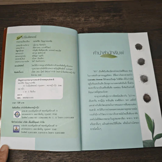 ชาใบไม้มหัศจรรย์ - ณรงค์ชัย ปัญญานนทชัย รูปที่ 6