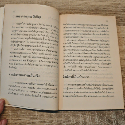 จงกล้ายืนสู้ชีวิต - เศียรเศวต รูปที่ 8