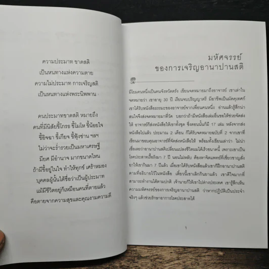 สติเป็นธรรมเอก - พระอาจารย์มิตซูโอะ คเวสโก รูปที่ 7