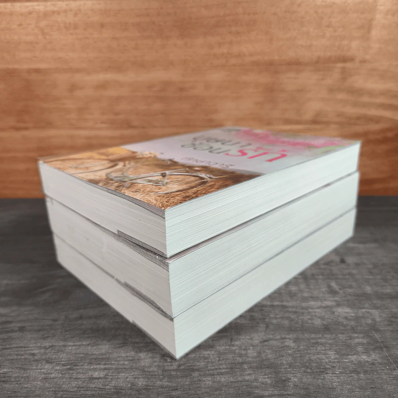 Boxset นวนิยาชุด ทัณฑ์รักบุษบา บุษบาพร่ำรัก + บุษบาซ่อนรัก + บุษบาลวงรัก - ทักษาวารี รูปที่ 6