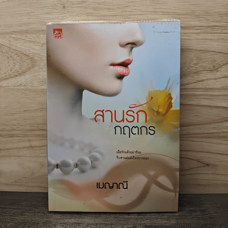 สานรักกฤตกร - เมญาณี รูปที่ 1