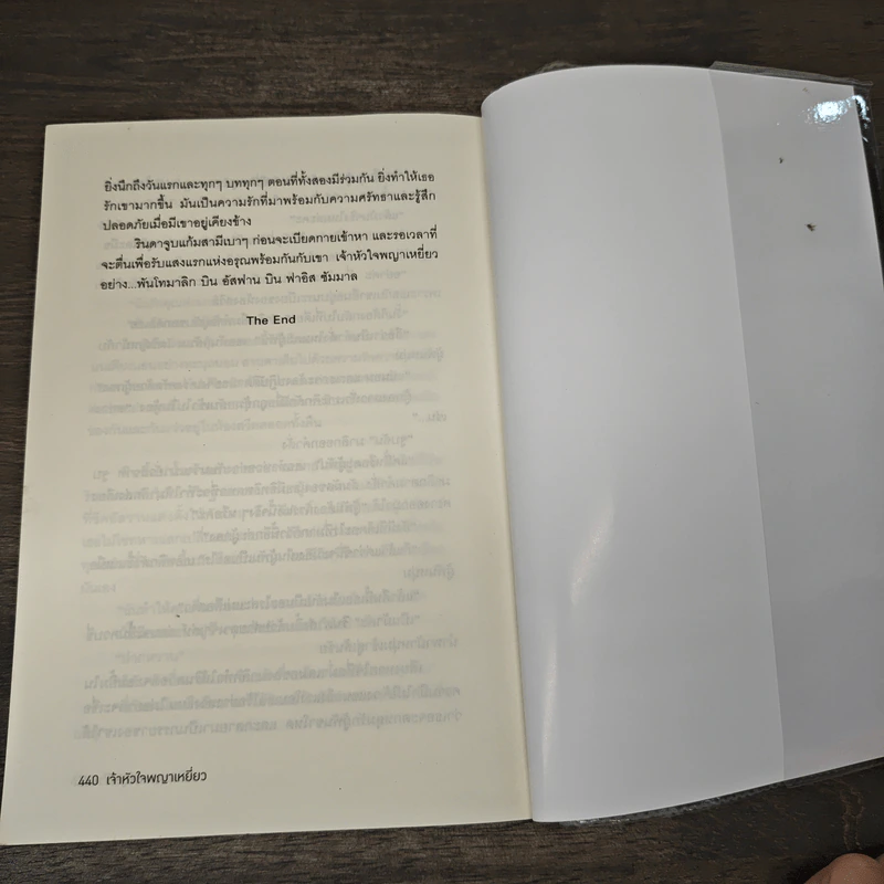 เจ้าหัวใจพญาเหยี่ยว - เพฑูรย์ รูปที่ 8