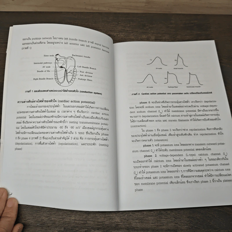 Electrocardiography for medical student sixth edition - อภิชาต สุคนธสรรพ์ รูปที่ 8