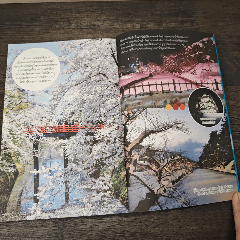 Visit Hokkaido Tohoku เที่ยวฮอกไกโด-โทโฮกุ - อดิศักดิ์ จันทร์ดวง รูปที่ 10