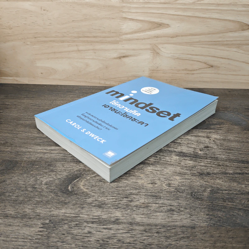 Mindset ใช้ความคิดเอาชนะโชคชะตา - Carol S.Dweck รูปที่ 3