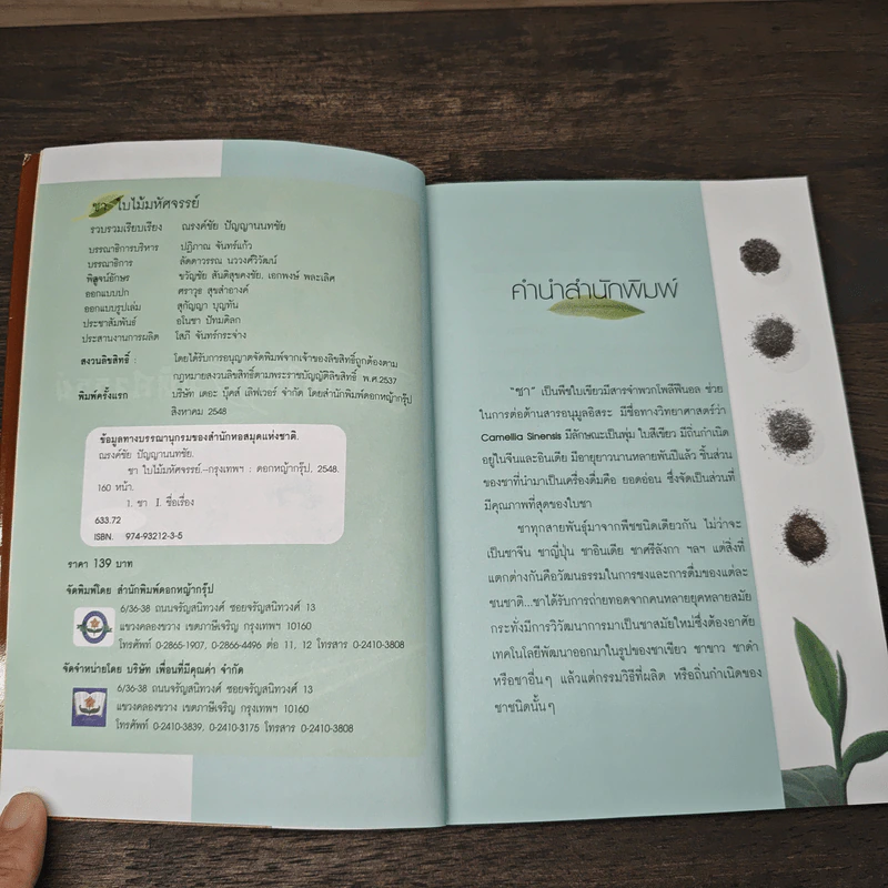 ชาใบไม้มหัศจรรย์ - ณรงค์ชัย ปัญญานนทชัย รูปที่ 6