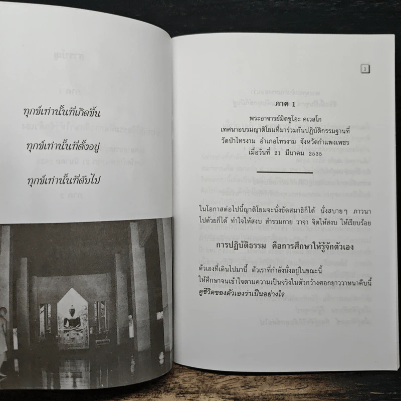 ทุกข์เพราะคิดผิด - พระอาจารย์มิตซูโอะ คเวสโก รูปที่ 8