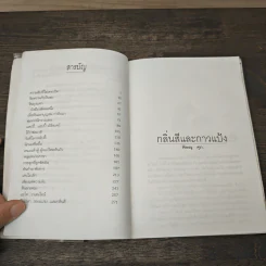 กลิ่นสีและกาวแป้ง - พิษณุ ศุภ รูปที่ 8