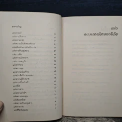 แห่งความสดใสของชีวิต - โสรีซ์ โพธิแก้ว รูปที่ 7