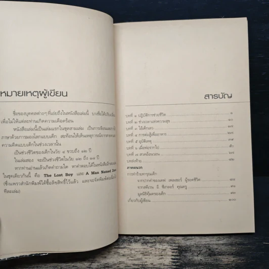 เด็กที่ถูกเรียกว่า "มัน" - เดฟ เพลเซอร์ รูปที่ 7