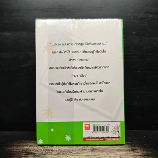 รักเธอ...เพื่อนตลอดกาล - ปาร์ลิมา รูปที่ 2