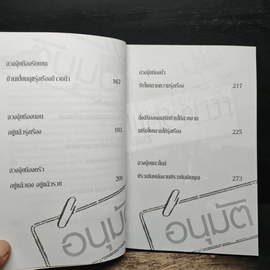 ฮวงจุ้ยแนวใหม่ จัดบ้านเสริมโชคลาภ - ภูมิทัศน์ วิตระกานต์กูล รูปที่ 8