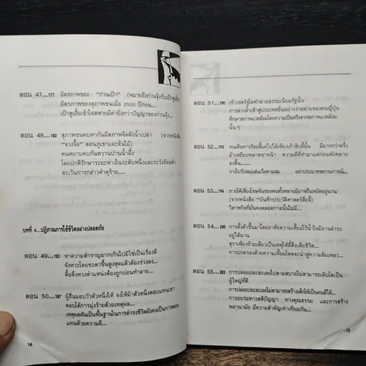 สุดยอดปัญญาจีน - ป.แผนสำเร็จ รูปที่ 11