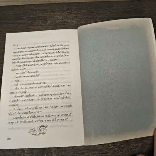 พ่อมดจอมยุ่ง Wizard at Large - เทอร์รี บรุกส์ (Terry Brooks) รูปที่ 9