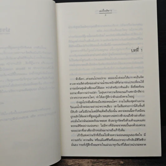 ละไว้ในฐานที่รักกัน - เมเปิ้ลสีขาว รูปที่ 7