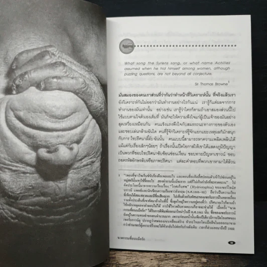 รหัสคดี 7 ฆาตกรรมที่ถนนม็อร์ก 160 ปีนิยายสืบสวน รูปที่ 8