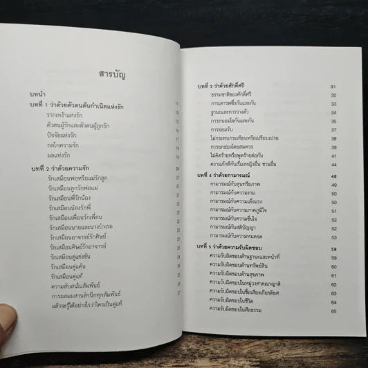 มรรยาทแห่งรัก - ไชย ณ พล รูปที่ 7