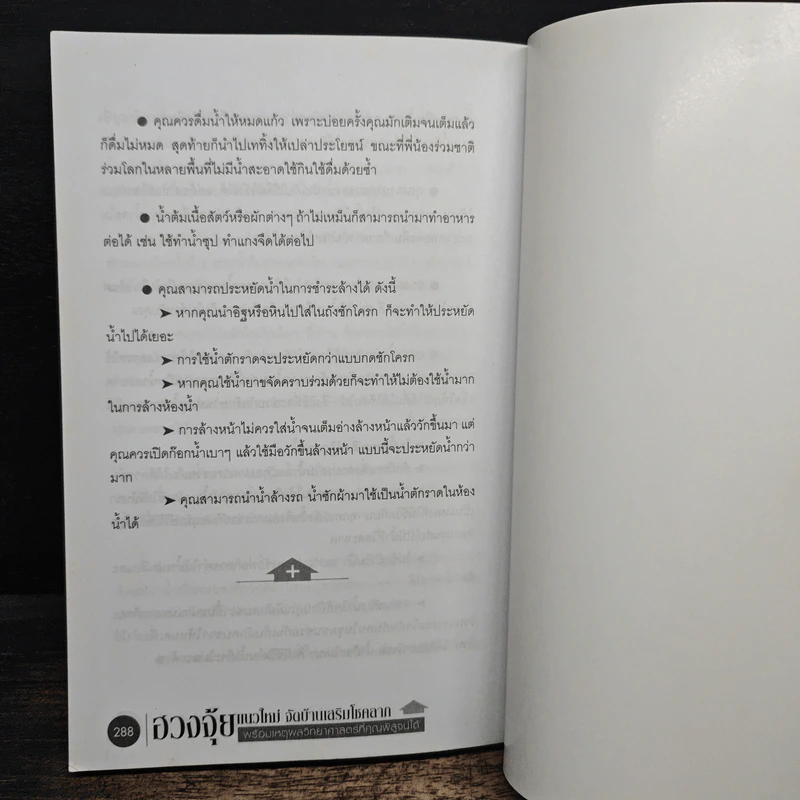 ฮวงจุ้ยแนวใหม่ จัดบ้านเสริมโชคลาภ - ภูมิทัศน์ วิตระกานต์กูล รูปที่ 10