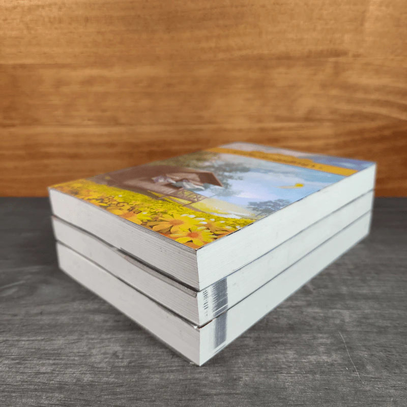 ระเบียงรักนักศึกษา ภาค 1-2 รวม 3 เล่ม - G_wa รูปที่ 4