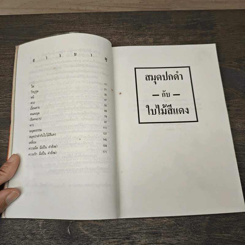 สมุดปกดำกับใบไม้สีแดง - วินทร์ เลียววาริณ รูปที่ 8