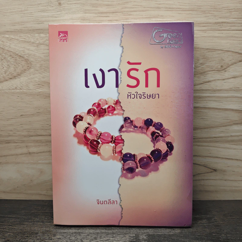 เงารักหัวใจริษยา - จินตลีลา รูปที่ 1