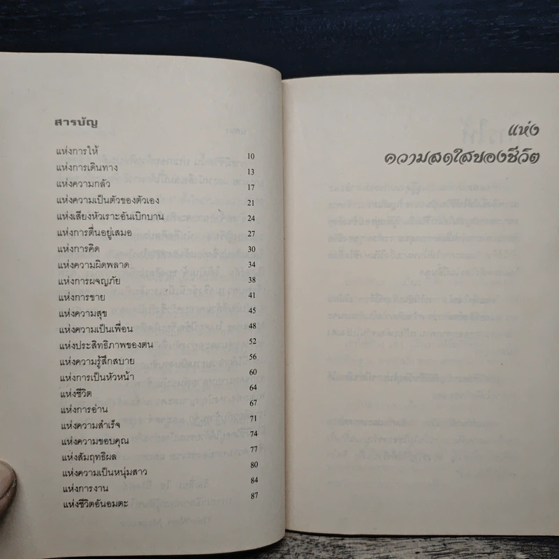 แห่งความสดใสของชีวิต - โสรีซ์ โพธิแก้ว รูปที่ 7