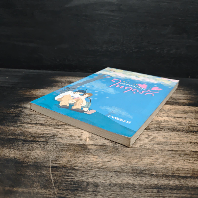 All about Love หัวใจหนึ่งคู่...ในฤดูรัก - อาพัชรินทร์ รูปที่ 4