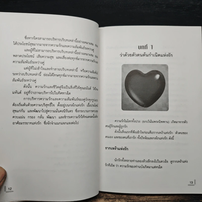 มรรยาทแห่งรัก - ไชย ณ พล รูปที่ 10