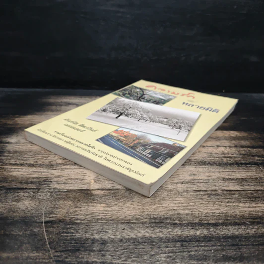 ความรักหลายมิติ - ศันสนีย ศีตะปันย์ เมอลเลอร์ รูปที่ 4