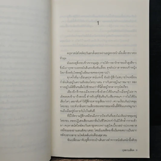 กุหลาบเลือด - อิมะมุระ อายะ รูปที่ 8
