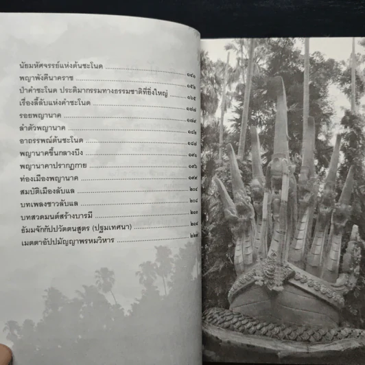 เรื่องจริงที่ยังสงสัย บอกได้ชาตินี้เท่านั้น เล่ม 21 คำชะโนด รูปที่ 8