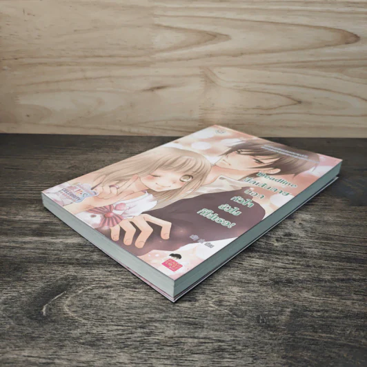 Deadline ขีดเส้นตายบอกหัวใจยังไงก็ใช่เธอ - silly sis รูปที่ 3