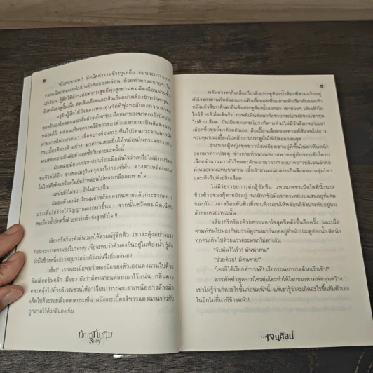 ทัณฑ์ทับทิม Ruby - เจนศิลป์ รูปที่ 7