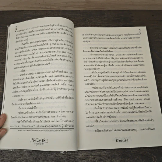 Promise พรายนครา - มายาโรส รูปที่ 7
