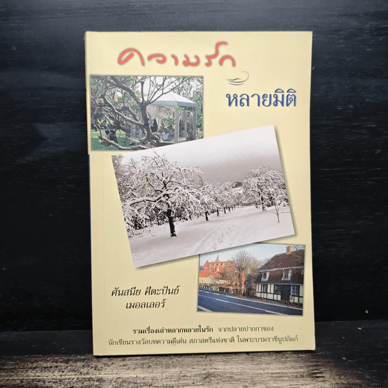 ความรักหลายมิติ - ศันสนีย ศีตะปันย์ เมอลเลอร์ รูปที่ 1