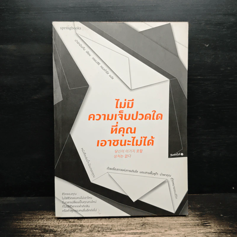 ไม่มีความเจ็บปวดใดที่คุณเอาชนะไม่ได้ - ปาร์ก มินกัน รูปที่ 1