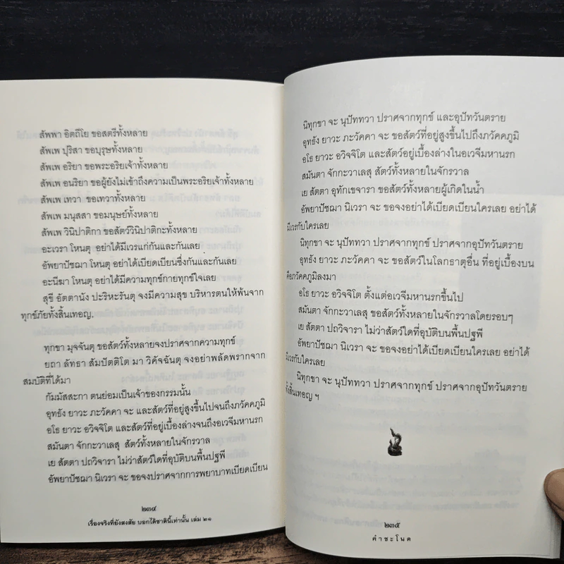 เรื่องจริงที่ยังสงสัย บอกได้ชาตินี้เท่านั้น เล่ม 21 คำชะโนด รูปที่ 10