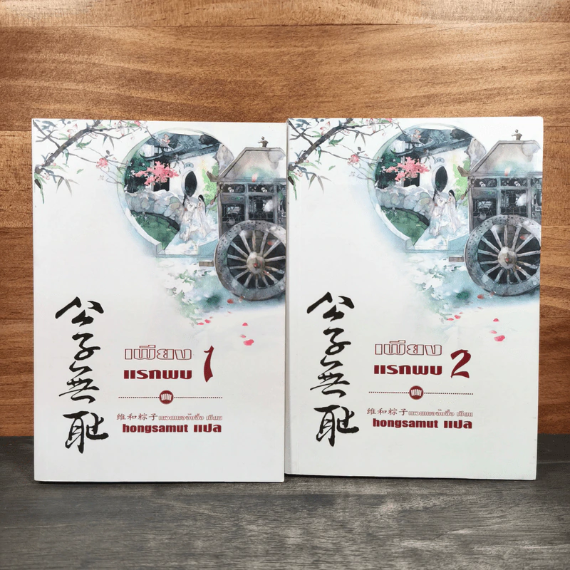 เพียงแรกพบ 2 เล่มจบ - เหวยเหอจ้งจื่อ รูปที่ 1