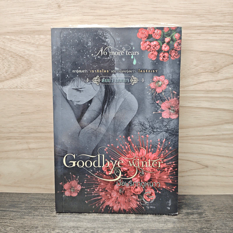 Goodbye winter เงื่อนรักฤดูหนาว - ต้นน้ำ นนทยา รูปที่ 1
