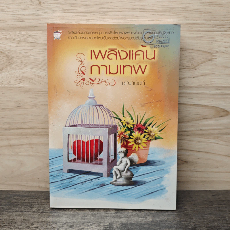 เพลิงแค้นกามเทพ - ชญานันท์ รูปที่ 1