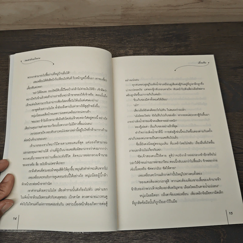 รอยอาลัยหญิงงาม - เตี่ยนซิน รูปที่ 7