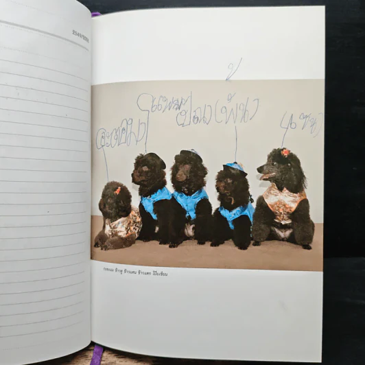 สัตว์เลี้ยงวังสระปทุม Diary 2549/2006 - สิรินธร รูปที่ 11