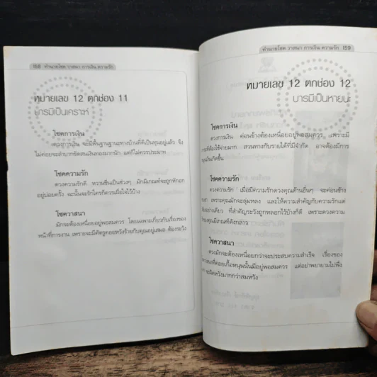 ทำนายโชค วาสนา การเงิน ความรัก - มาเรียม ยานีเลาะ รูปที่ 12